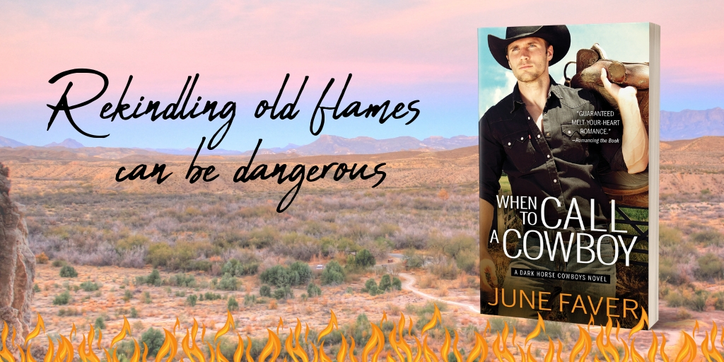 When to Call a Cowboy by June Faver