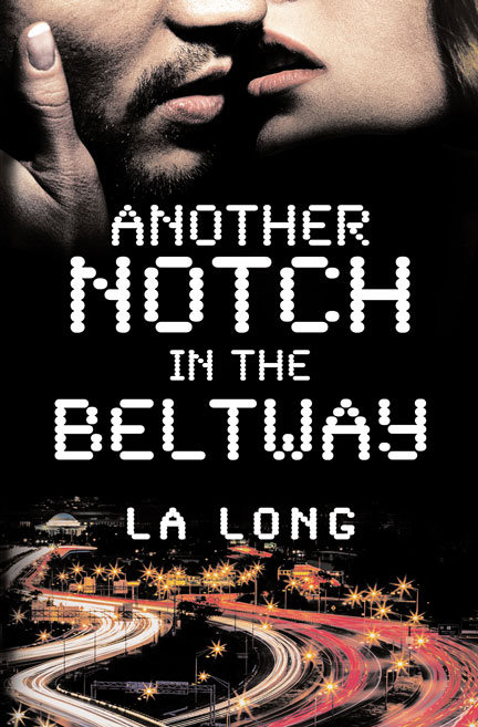 Another Notch in the Beltway by LA Long