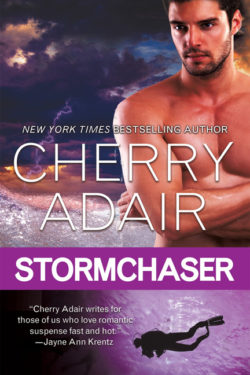 Stormchaser by Cherry Adair