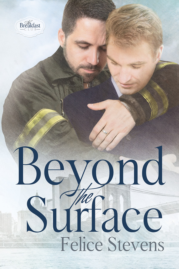 Beyond the Surface by Felice Stevens