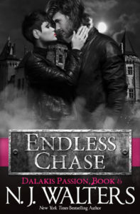 Endless Chase by NJ Walters