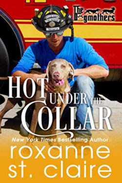 Hot Under the Collar by Roxanne St. Claire