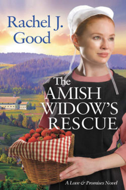 The Amish Widow's Rescue by Rachel J. Good