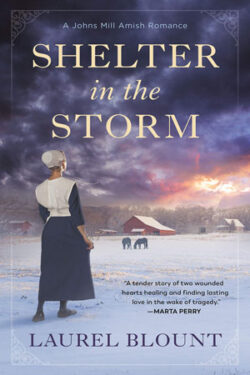 Shelter in the Storm by Laurel Blount