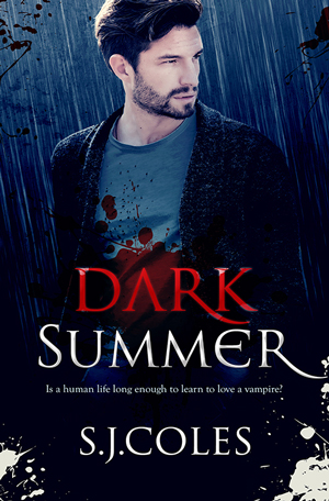 Dark Summer by SJ Coles